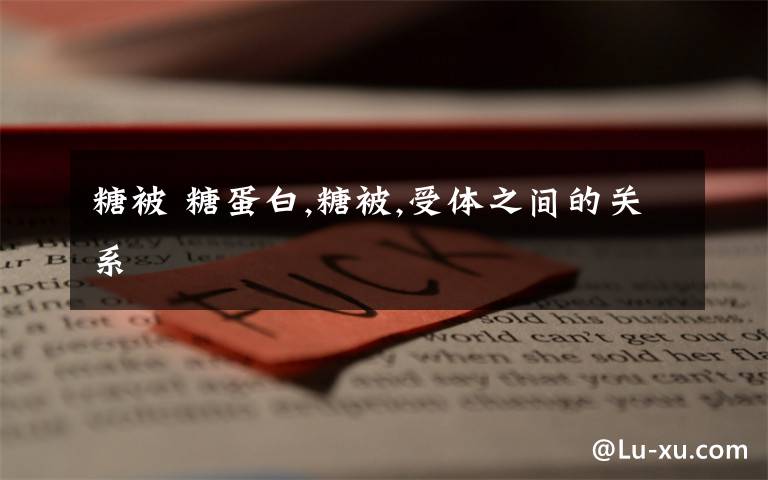 糖被 糖蛋白,糖被,受体之间的关系