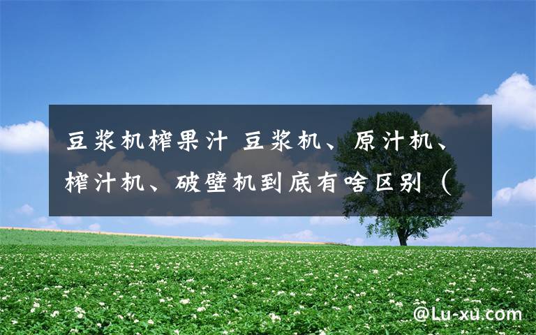 豆浆机榨果汁 豆浆机、原汁机、榨汁机、破壁机到底有啥区别（内附推荐）