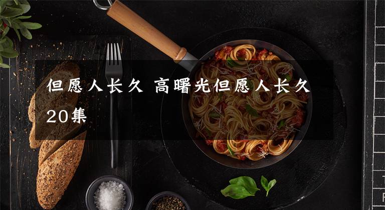 但愿人长久 高曙光但愿人长久20集