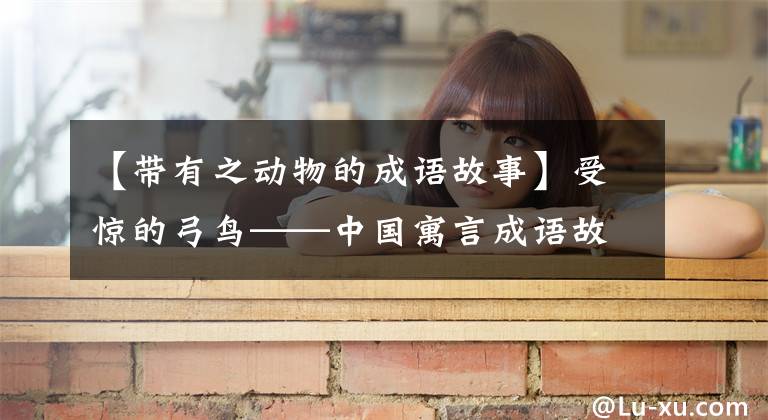 【带有之动物的成语故事】受惊的弓鸟——中国寓言成语故事