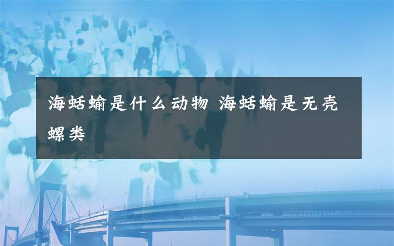 海蛞蝓是什么动物 海蛞蝓是无壳螺类