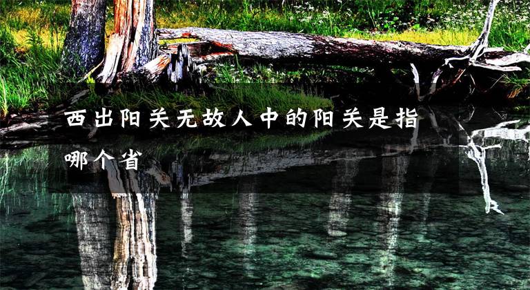 西出阳关无故人中的阳关是指哪个省