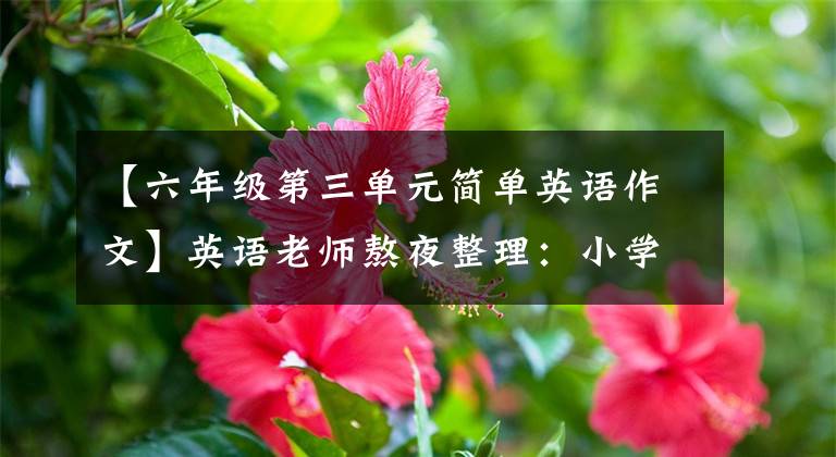 【六年级第三单元简单英语作文】英语老师熬夜整理:小学六年级英语作文大全,一定要为孩子存一份。