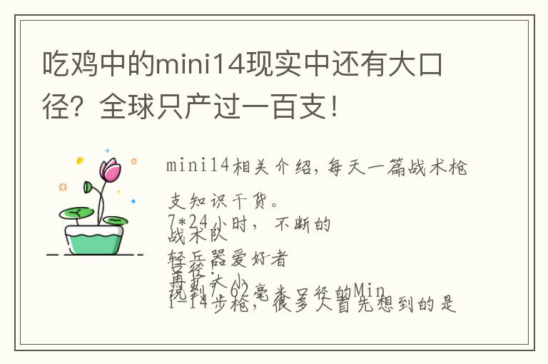 吃鸡中的mini14现实中还有大口径?全球只产过一百支!