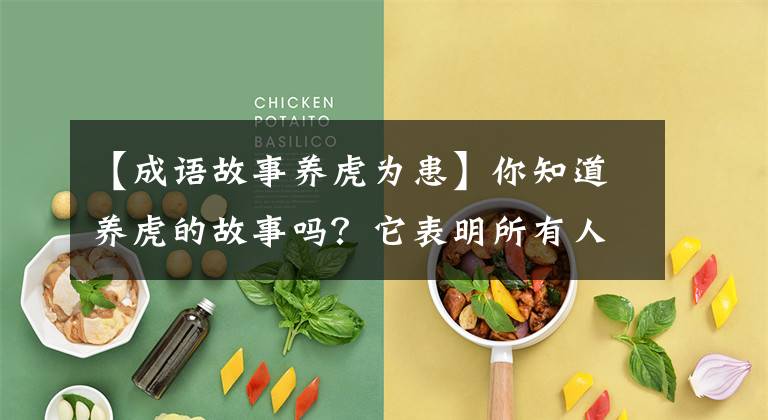 【成语故事养虎为患】你知道养虎的故事吗?它表明所有人工驯养的老虎都有这个问题。