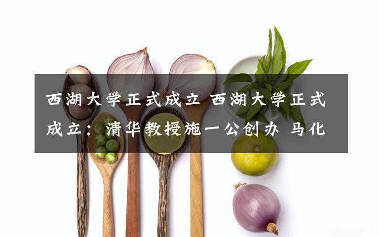 西湖大学正式成立 西湖大学正式成立:清华教授施一公创办 马化腾王健林等均捐款