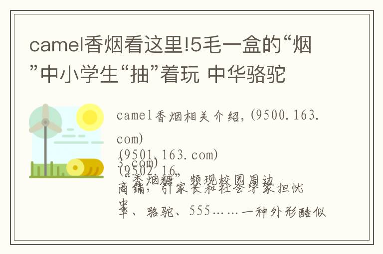 camel香烟看这里!5毛一盒的“烟”中小学生“抽”着玩 中华骆驼都有