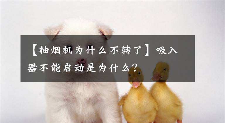 【抽烟机为什么不转了】吸入器不能启动是为什么?