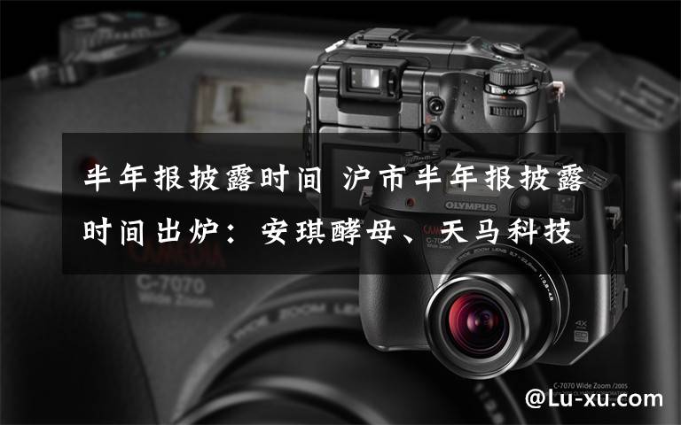 半年报披露时间 沪市半年报披露时间出炉:安琪酵母、天马科技拔头筹