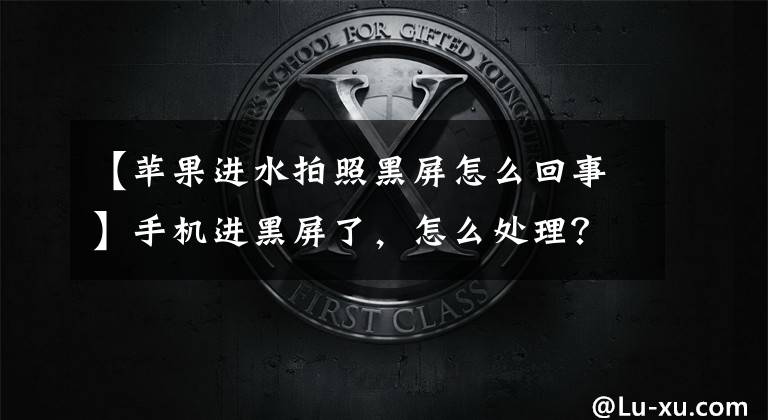 【苹果进水拍照黑屏怎么回事】手机进黑屏了，怎么处理？手机进水了怎么办？
