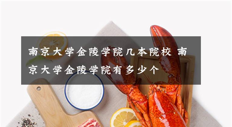 南京大学金陵学院几本院校 南京大学金陵学院有多少个