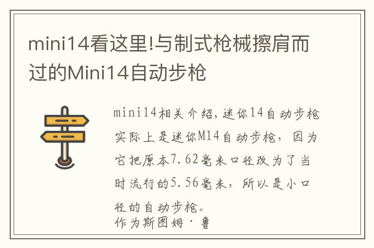 mini14看这里!与制式枪械擦肩而过的Mini14自动步枪