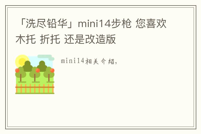 「洗尽铅华」mini14步枪 您喜欢木托 折托 还是改造版