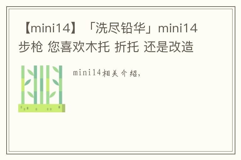 【mini14】「洗尽铅华」mini14步枪 您喜欢木托 折托 还是改造版