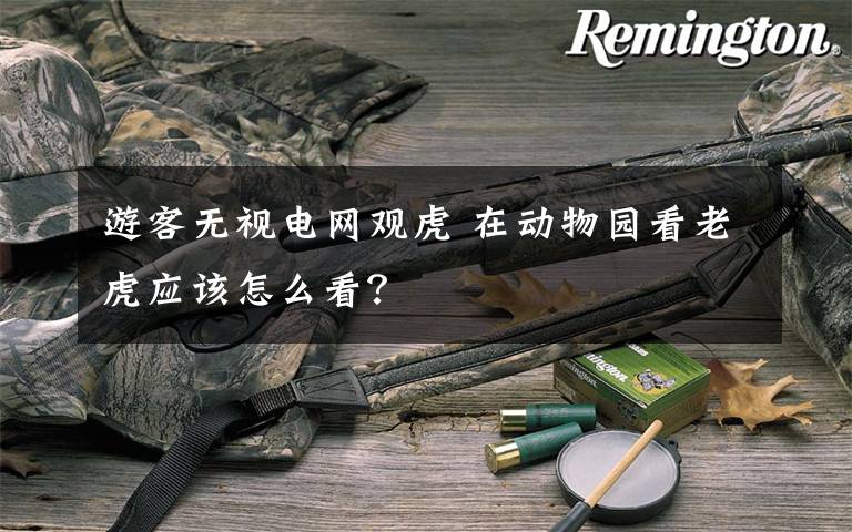 游客无视电网观虎 在动物园看老虎应该怎么看?