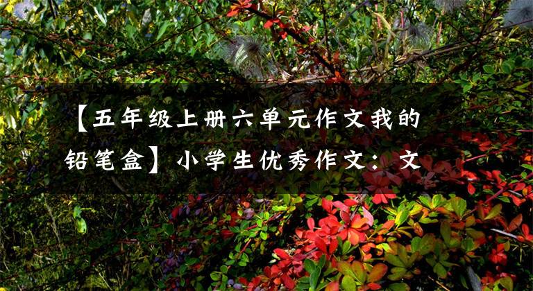 【五年级上册六单元作文我的铅笔盒】小学生优秀作文:文具盒