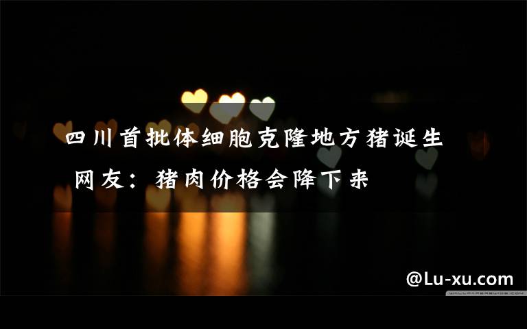 四川首批体细胞克隆地方猪诞生 网友:猪肉价格会降下来