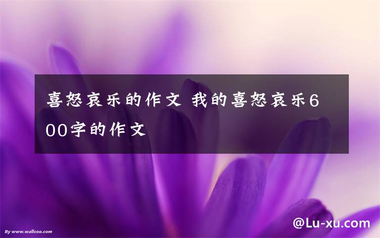 喜怒哀乐的作文 我的喜怒哀乐600字的作文