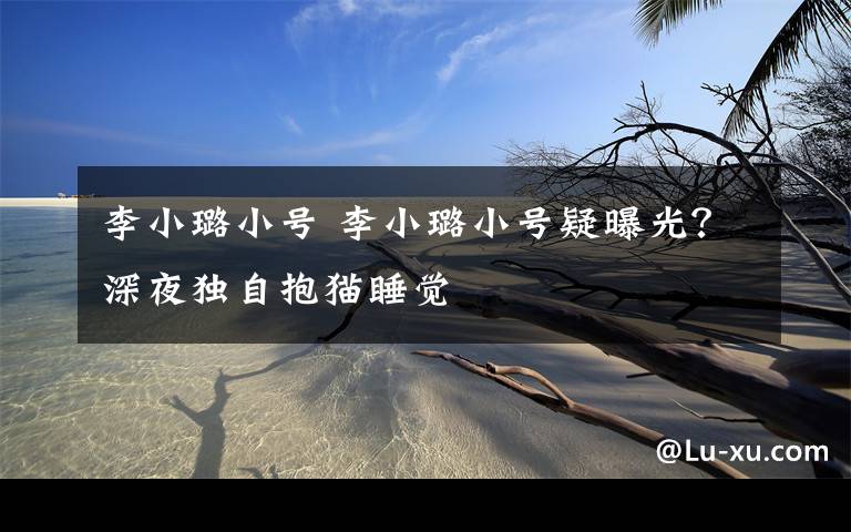 李小璐小号 李小璐小号疑曝光?深夜独自抱猫睡觉