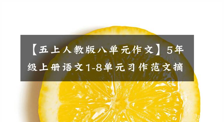 【五上人教版八单元作文】5年级上册语文1-8单元习作范文摘要