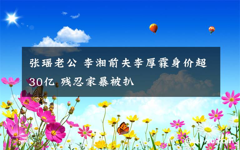 张瑶老公 李湘前夫李厚霖身价超30亿 残忍家暴被扒