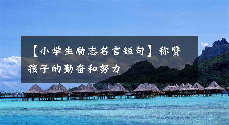 【小学生励志名言短句】称赞孩子的勤奋和努力