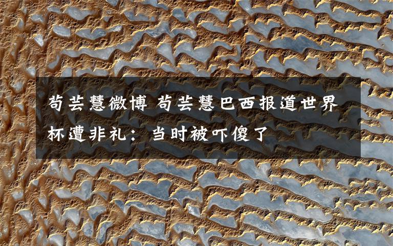 苟芸慧微博 苟芸慧巴西报道世界杯遭非礼:当时被吓傻了