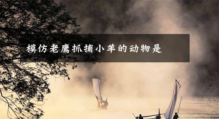 模仿老鹰抓捕小羊的动物是