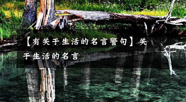 【有关于生活的名言警句】关于生活的名言