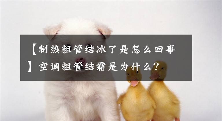 【制热粗管结冰了是怎么回事】空调粗管结霜是为什么？