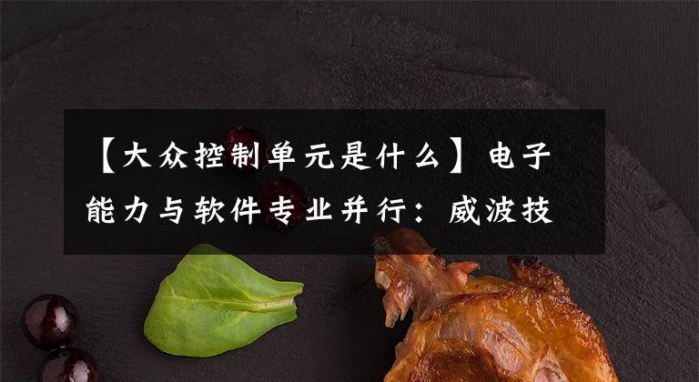 【大众控制单元是什么】电子能力与软件专业并行:威波技术为大众ID.3电动汽车提供驱动控制装置。