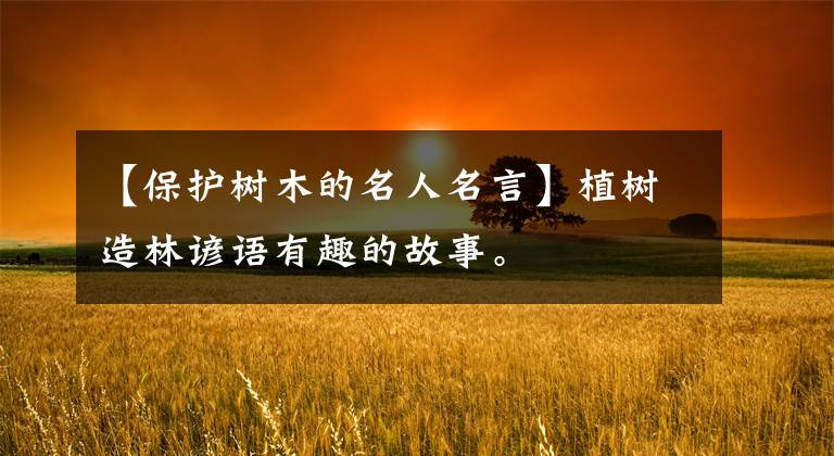 【保护树木的名人名言】植树造林谚语有趣的故事。