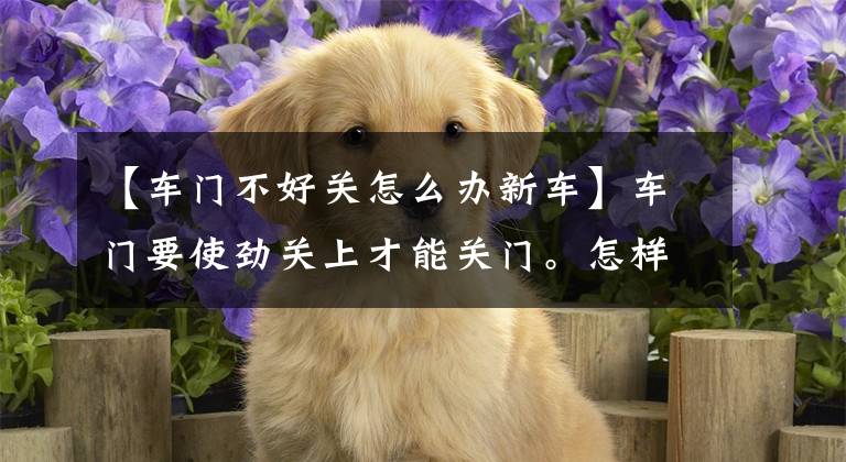 【车门不好关怎么办新车】车门要使劲关上才能关门。怎样调节才能调节车门?