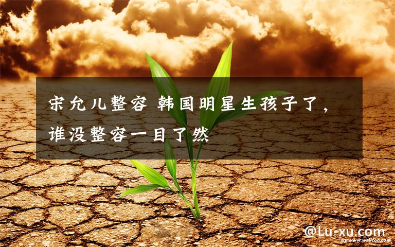 宋允儿整容 韩国明星生孩子了,谁没整容一目了然