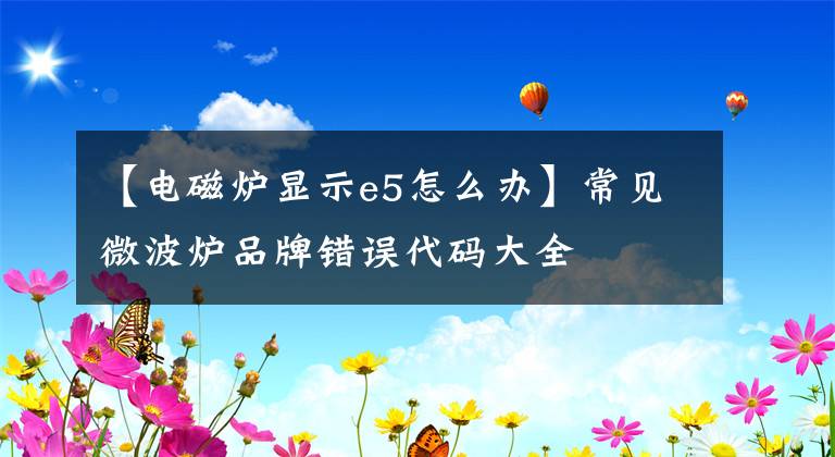 【电磁炉显示e5怎么办】常见微波炉品牌错误代码大全