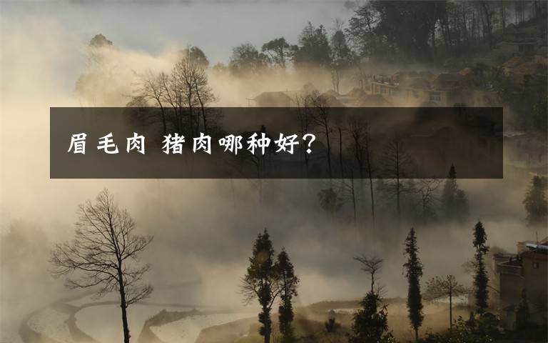 眉毛肉 猪肉哪种好？