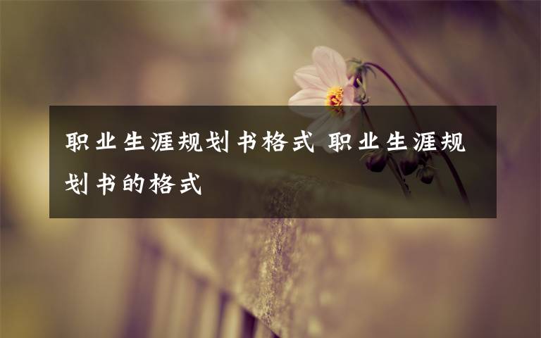 职业生涯规划书格式 职业生涯规划书的格式