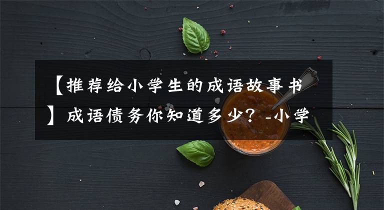 【推荐给小学生的成语故事书】成语债务你知道多少？-小学习语学习书目推荐
