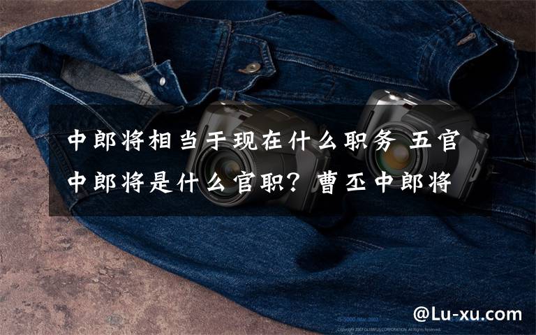 中郎将相当于现在什么职务 五官中郎将是什么官职?曹丕中郎将相当于现在什么职务【图解】