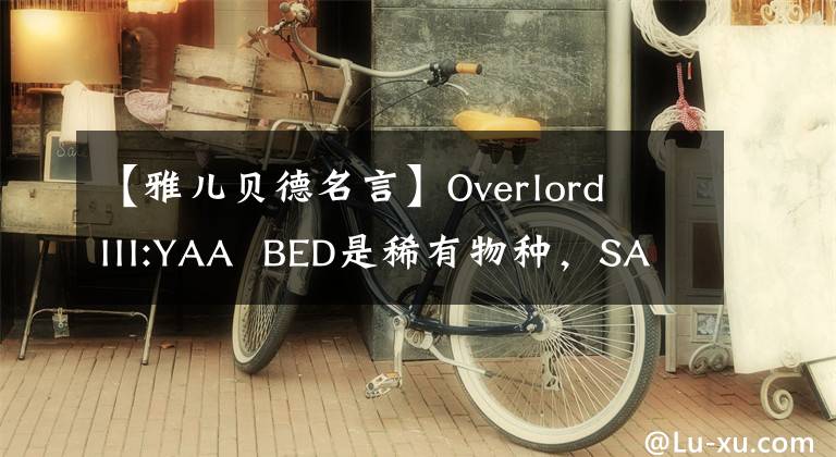 【雅儿贝德名言】Overlord III:YAA BED是稀有物种,SATIA说她有百合经验!