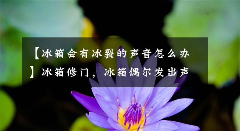 【冰箱会有冰裂的声音怎么办】冰箱修门,冰箱偶尔发出声音是怎么回事?怎么解决?