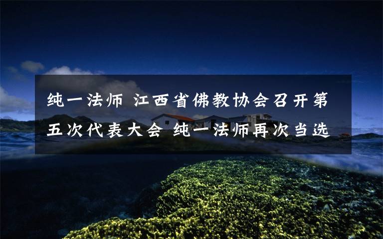纯一法师 江西省佛教协会召开第五次代表大会 纯一法师再次当选会长