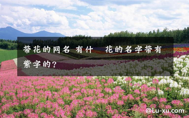 带花的网名 有什麼花的名字带有紫字的?