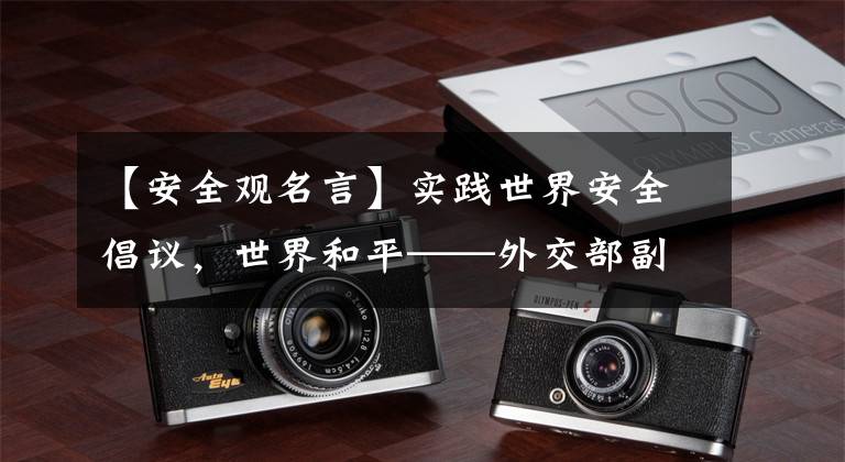 【安全观名言】实践世界安全倡议,世界和平——外交部副部长骆玉成正在