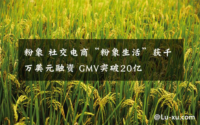 粉象 社交电商“粉象生活”获千万美元融资 GMV突破20亿