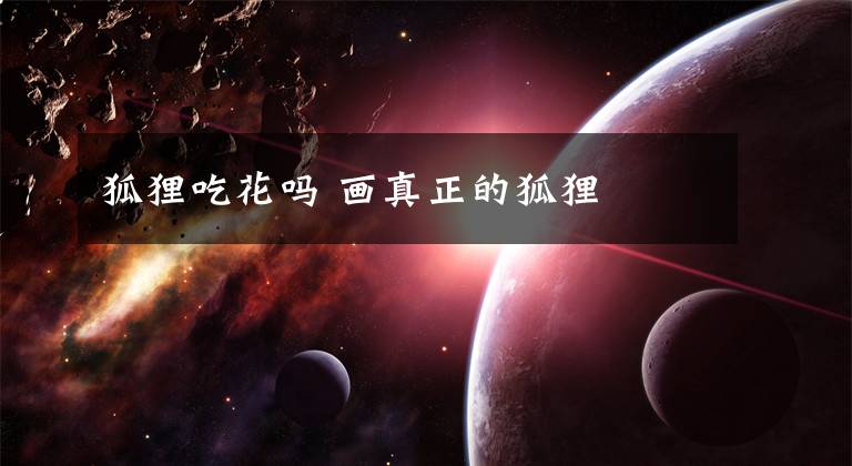 狐狸吃花吗 画真正的狐狸