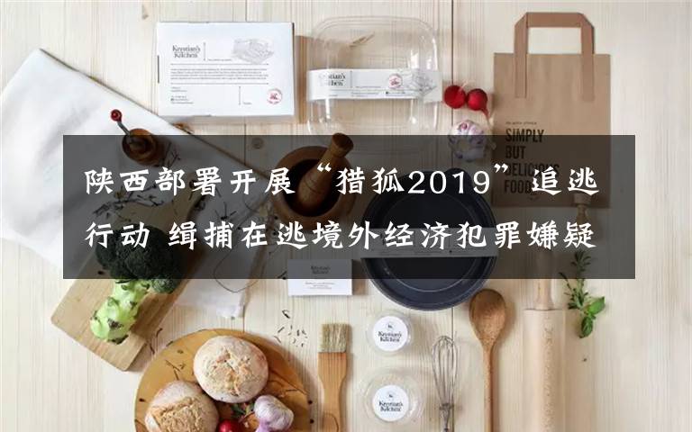 陕西部署开展“猎狐2019”追逃行动 缉捕在逃境外经济犯罪嫌疑人