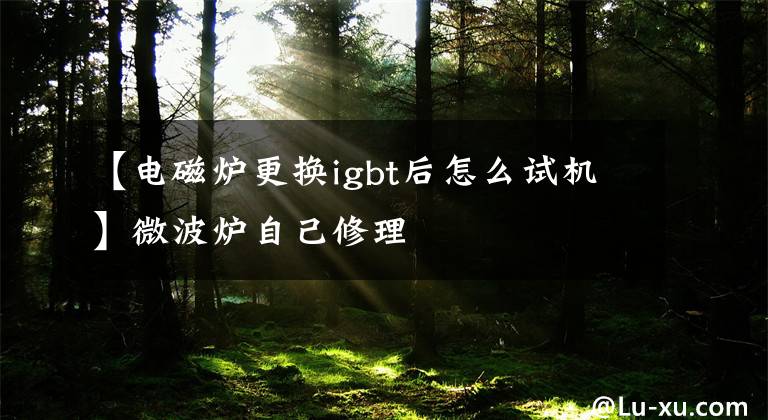 【电磁炉更换igbt后怎么试机】微波炉自己修理