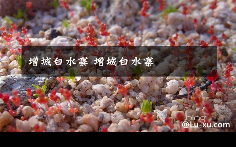 增城白水寨 增城白水寨