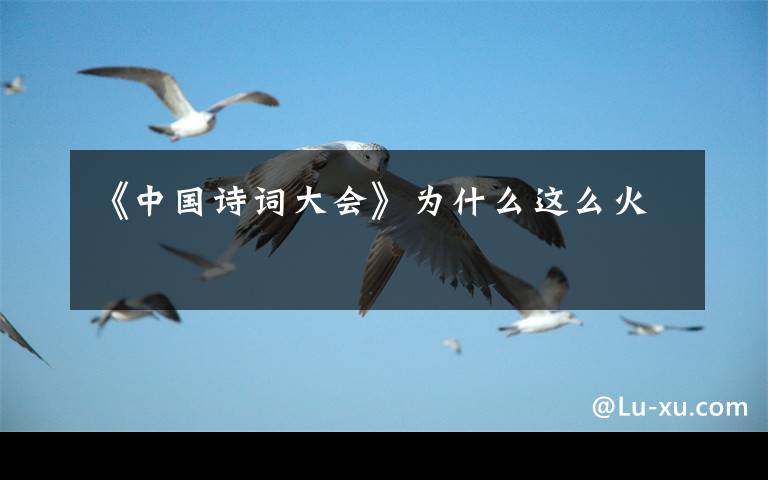 《中国诗词大会》为什么这么火